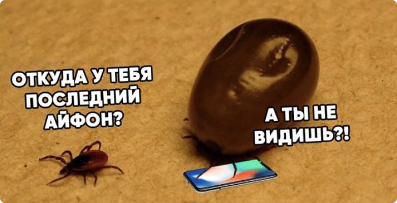 За 7 дней в Тульском регионе от клещей пострадали 167 человек